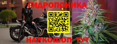 а пвп мука Краснодар