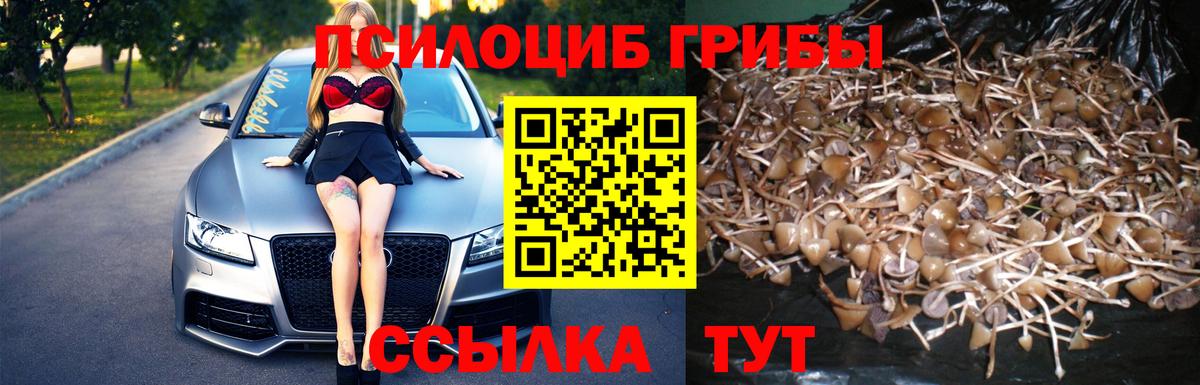 сколько стоит  Вход с VPN  Клинцы  Галлюциногенные грибы прущие грибы 