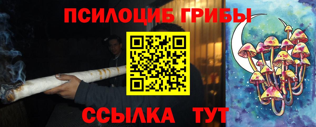 Псилоцибиновые грибы мицелий Клинцы