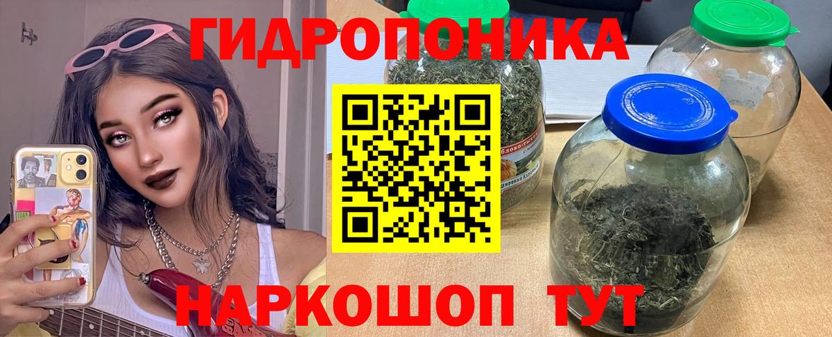 Конопля White Widow Клинцы